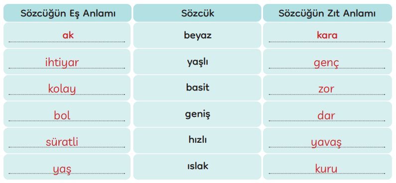 3. Sınıf Türkçe Ders Kitabı Sayfa 269 Cevapları MEB Yayınları1