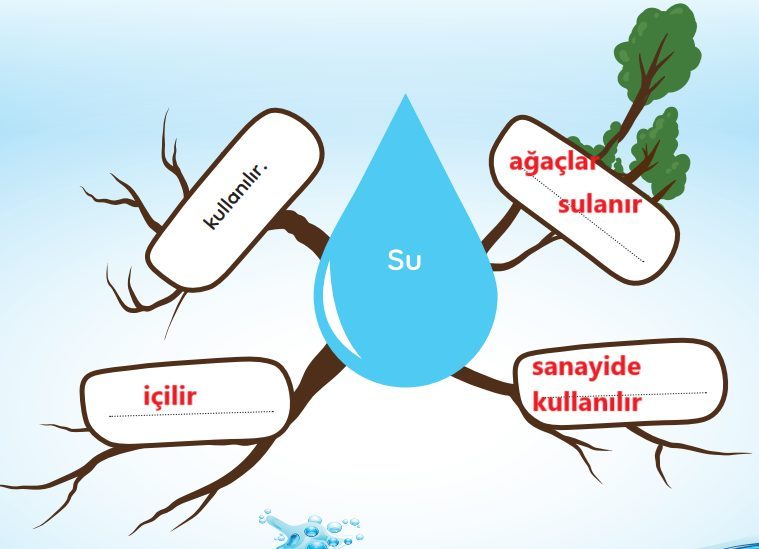 3. Sınıf Türkçe Ders Kitabı Sayfa 270 Cevapları MEB Yayınları