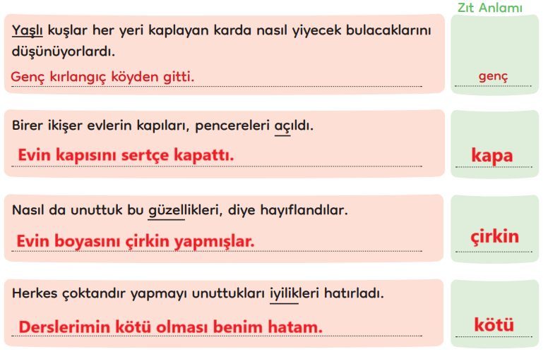 3. Sınıf Türkçe Ders Kitabı Sayfa 276 Cevapları MEB Yayınları