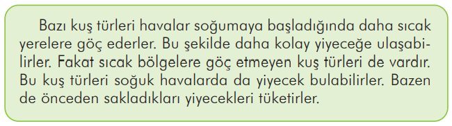 3. Sınıf Türkçe Ders Kitabı Sayfa 302 Cevapları İlke Yayıncılık1