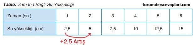 4. Sınıf Matematik Ders Kitabı Sayfa 155 Cevapları ADA Yayıncılık1