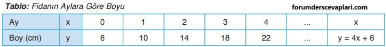 4. Sınıf Matematik Ders Kitabı Sayfa 156 Cevapları ADA Yayıncılık1