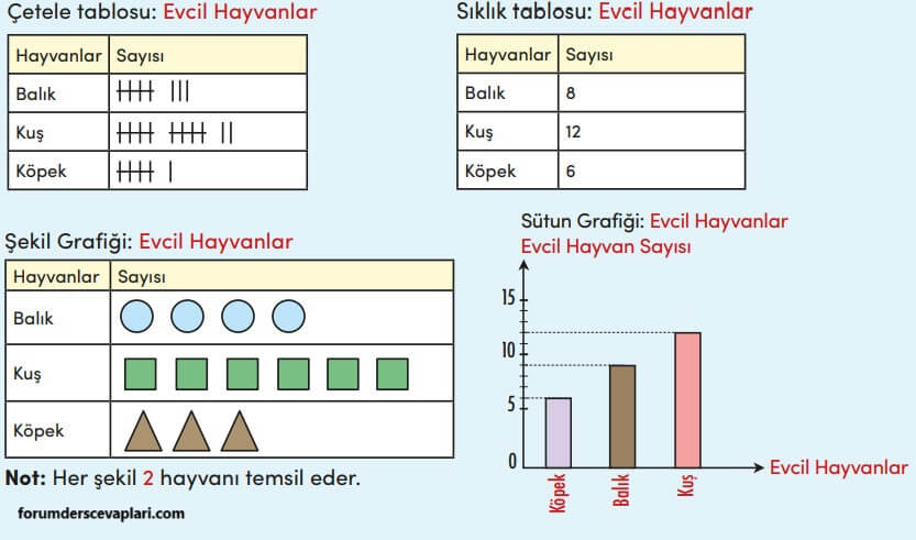 4. Sınıf Matematik Ders Kitabı Sayfa 174 Cevapları MEB Yayınları1