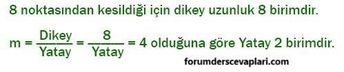 4. Sınıf Matematik Ders Kitabı Sayfa 196 Cevapları ADA Yayıncılık1