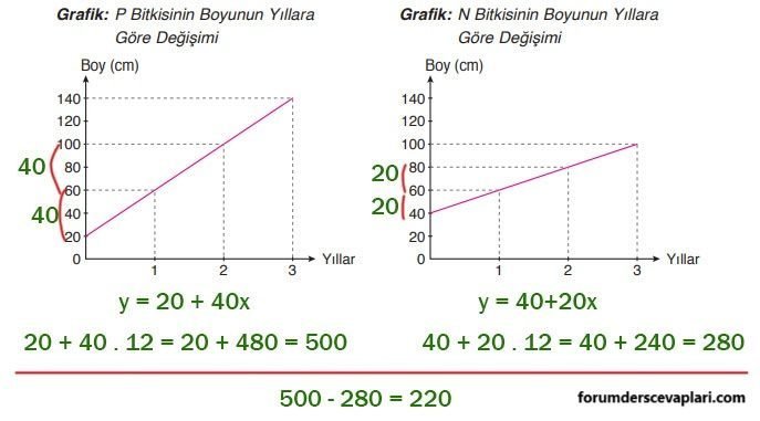 4. Sınıf Matematik Ders Kitabı Sayfa 199 Cevapları ADA Yayıncılık