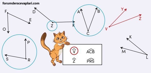 4. Sınıf Matematik Ders Kitabı Sayfa 199 Cevapları MEB Yayınları1