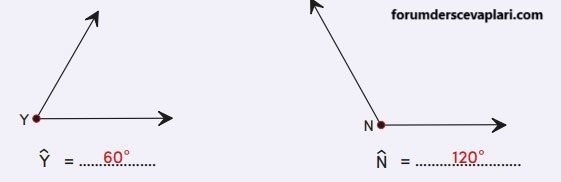 4. Sınıf Matematik Ders Kitabı Sayfa 203 Cevapları MEB Yayınları