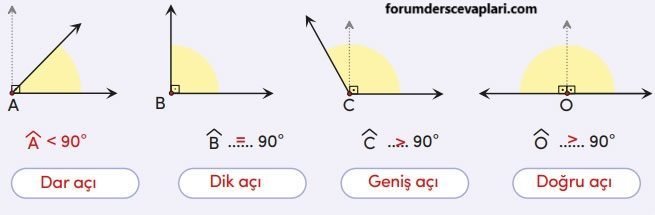 4. Sınıf Matematik Ders Kitabı Sayfa 205 Cevapları MEB Yayınları