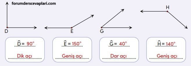 4. Sınıf Matematik Ders Kitabı Sayfa 205 Cevapları MEB Yayınları2