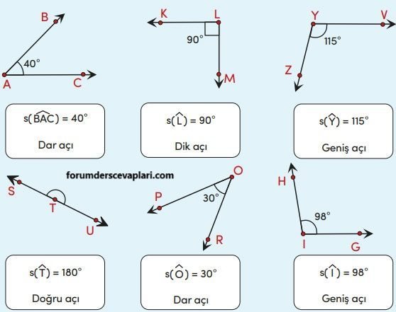 4. Sınıf Matematik Ders Kitabı Sayfa 228 Cevapları MEB Yayınları1