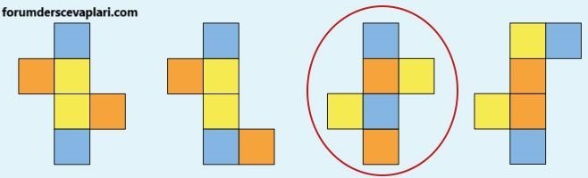 4. Sınıf Matematik Ders Kitabı Sayfa 231 Cevapları MEB Yayınları1