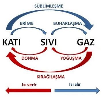 5. Sınıf Fen Bilimleri Ders Kitabı Sayfa 80 Cevapları MEB Yayınları