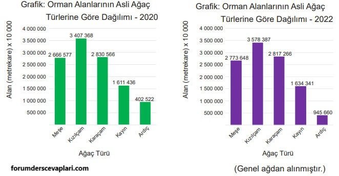 5. Sınıf Matematik Ders Kitabı Sayfa 110 Cevapları MEB Yayınları