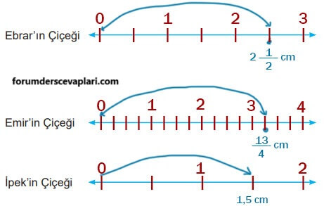 5. Sınıf Matematik Ders Kitabı Sayfa 30 Cevapları MEB Yayınları1