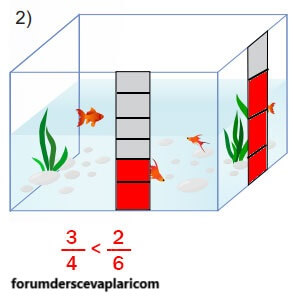 5. Sınıf Matematik Ders Kitabı Sayfa 34 Cevapları MEB Yayınları1