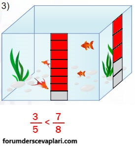 5. Sınıf Matematik Ders Kitabı Sayfa 34 Cevapları MEB Yayınları2