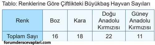 5. Sınıf Matematik Ders Kitabı Sayfa 39 Cevapları MEB Yayınları