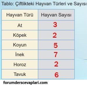 5. Sınıf Matematik Ders Kitabı Sayfa 58 Cevapları MEB Yayınları1