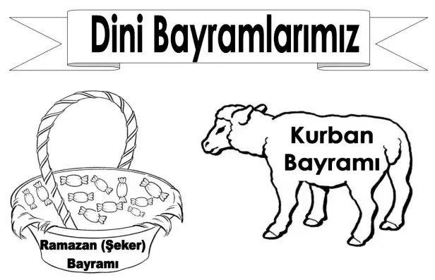 5. Sınıf Türkçe Ders Kitabı Sayfa 28 Cevapları MEB Yayınları