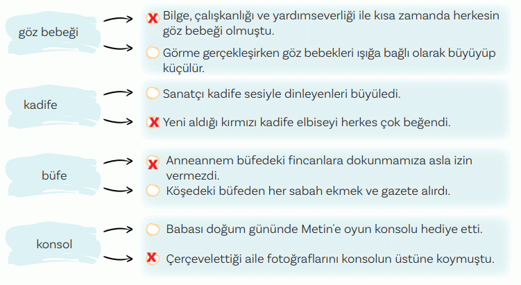 5. Sınıf Türkçe Ders Kitabı Sayfa 31 Cevapları MEB Yayınları