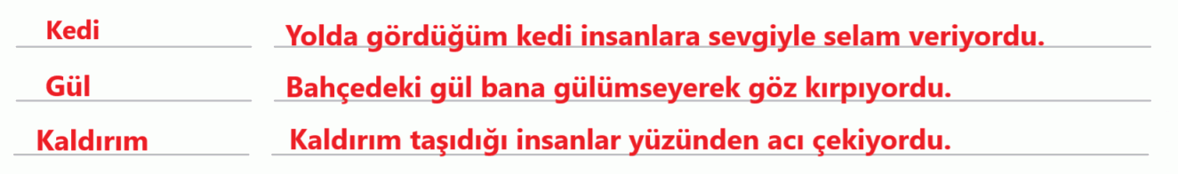 5. Sınıf Türkçe Ders Kitabı Sayfa 33 Cevapları MEB Yayınları1