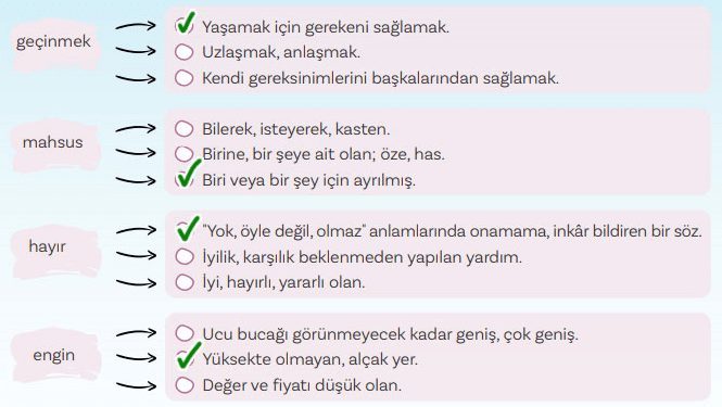 5. Sınıf Türkçe Ders Kitabı Sayfa 87 Cevapları MEB Yayınları