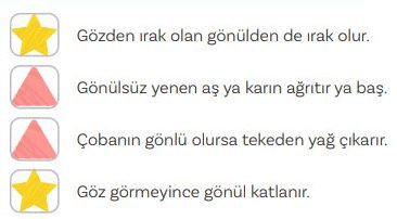 5. Sınıf Türkçe Ders Kitabı Sayfa 87 Cevapları MEB Yayınları1