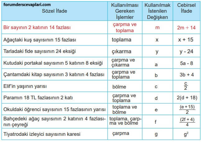 6. Sınıf Matematik Ders Kitabı Sayfa 184-187-188-189. Cevapları MEB Yayınları