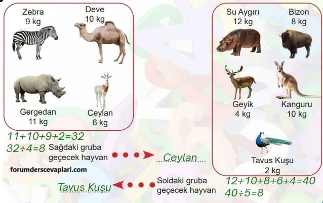 6. Sınıf Matematik Ders Kitabı Sayfa 201 Cevapları MEB Yayınları1