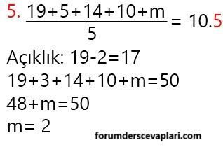 6. Sınıf Matematik Ders Kitabı Sayfa 204-205-206-207-208-209. Cevapları MEB Yayınları