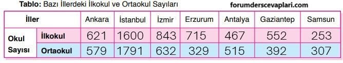 6. Sınıf Matematik Ders Kitabı Sayfa 206 Cevapları Doğa Yayıncılık