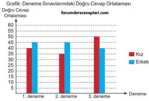 6. Sınıf Matematik Ders Kitabı Sayfa 206 Cevapları MEB Yayınları