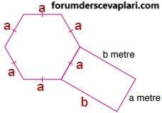 6. Sınıf Matematik Ders Kitabı Sayfa 220 Cevapları Doğa Yayıncılık