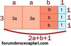 6. Sınıf Matematik Ders Kitabı Sayfa 220 Cevapları Doğa Yayıncılık1