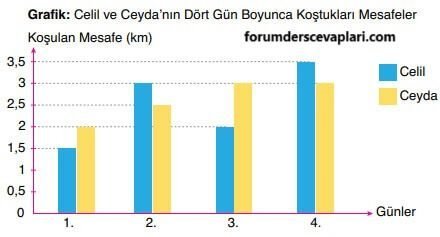 6. Sınıf Matematik Ders Kitabı Sayfa 222 Cevapları Doğa Yayıncılık