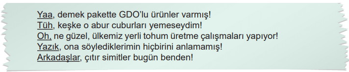 6. Sınıf Türkçe Ders Kitabı Sayfa 215-217-218-219-220-221. Cevapları MEB Yayınları