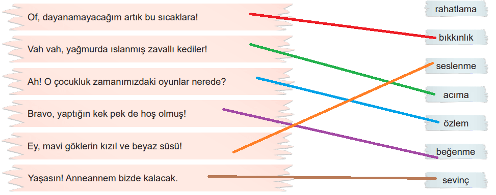 6. Sınıf Türkçe Ders Kitabı Sayfa 218 Cevapları MEB Yayınları1