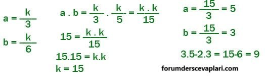 7. Sınıf Matematik Ders Kitabı Sayfa 161 Cevapları Edat Yayınları2