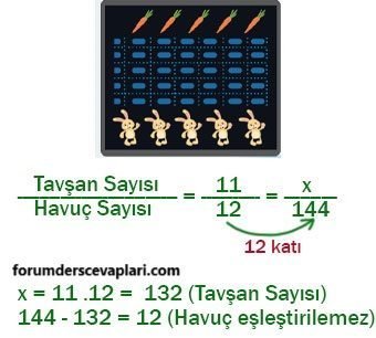 7. Sınıf Matematik Ders Kitabı Sayfa 183 Cevapları Edat Yayınları2