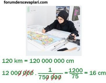 7. Sınıf Matematik Ders Kitabı Sayfa 185 Cevapları Edat Yayınları1