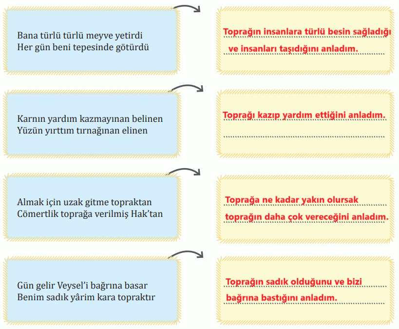 7. Sınıf Türkçe Ders Kitabı Sayfa 185 Cevapları MEB Yayınları