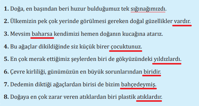 7. Sınıf Türkçe Ders Kitabı Sayfa 186 Cevapları MEB Yayınları