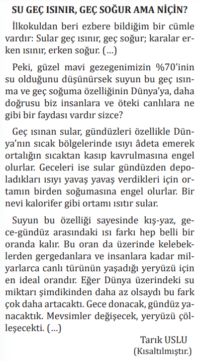 7. Sınıf Türkçe Ders Kitabı Sayfa 202-203. Cevapları MEB Yayınları