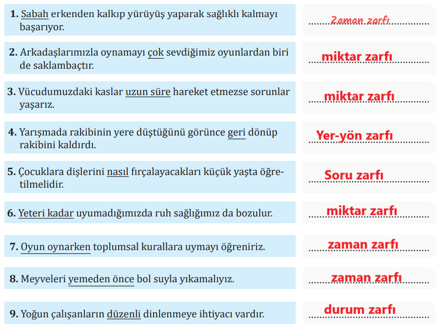 7. Sınıf Türkçe Ders Kitabı Sayfa 223 Cevapları MEB Yayınları