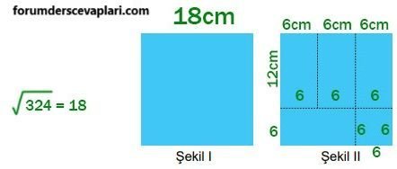 8. Sınıf Matematik Ders Kitabı Sayfa 184 Cevapları MEB Yayınları3