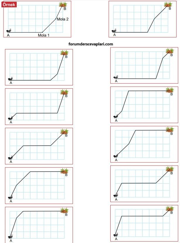 8. Sınıf Matematik Ders Kitabı Sayfa 211 Cevapları MEB Yayınları