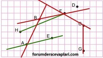 8. Sınıf Matematik Ders Kitabı Sayfa 213 Cevapları MEB Yayınları1