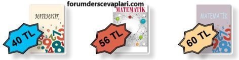 8. Sınıf Matematik Ders Kitabı Sayfa 227 Cevapları MEB Yayınları