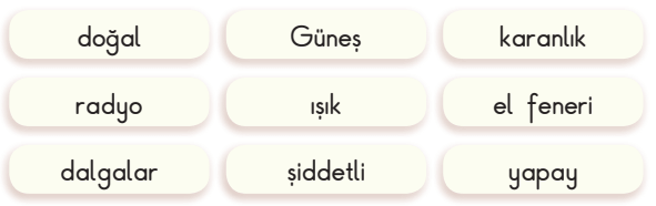 3. Sınıf Fen Bilimleri Ders Kitabı Sayfa 143 Cevapları SDR Dikey Yayıncılık1