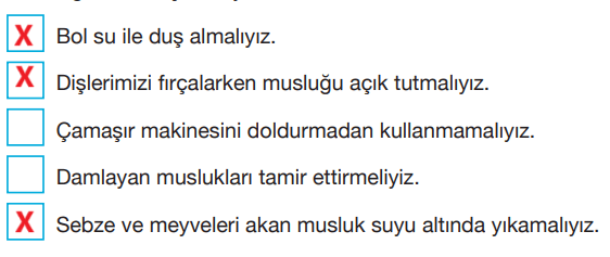 4. Sınıf Fen Bilimleri Ders Kitabı Sayfa 225 Cevapları Pasifik Yayınları2